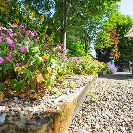 Terraced Houses Courtyard Garlow Cross Eir04048 Iye *